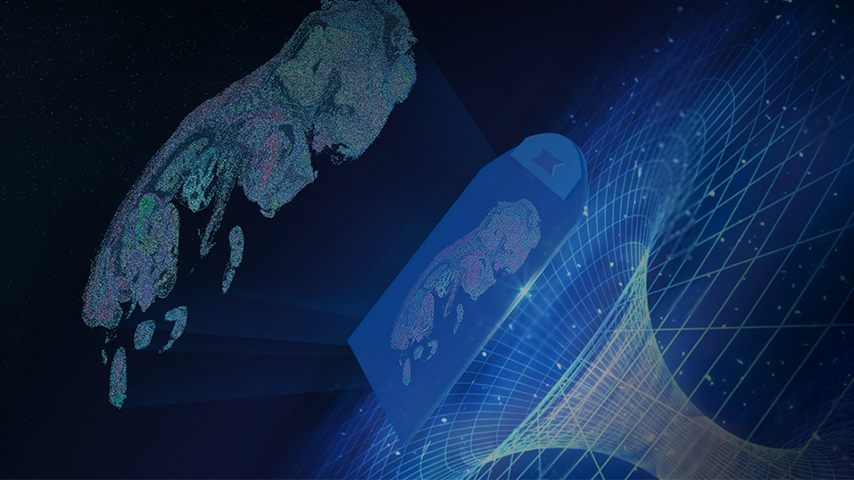 時(shí)空組學(xué)